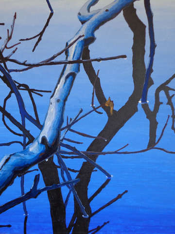 Blue mirror