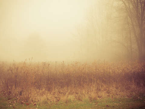 Quiet