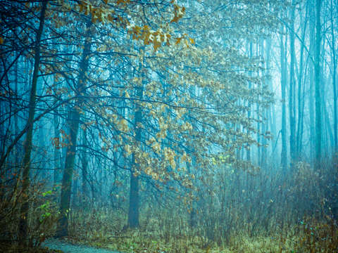 Twilight 2