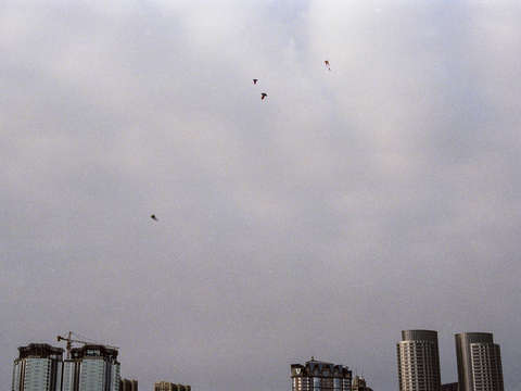 Kites dalian china