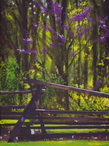 Springplease