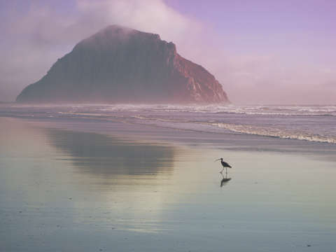 Morro Rock