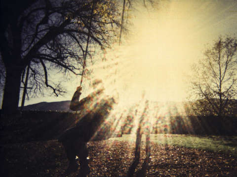 Tree swing