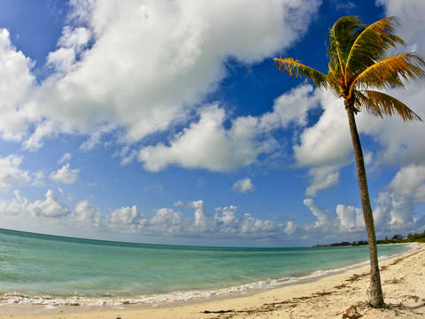 Grand bahama island