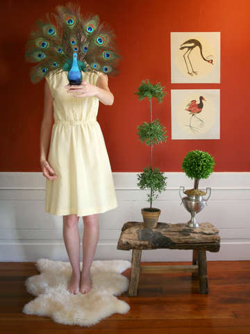 Peacock lady