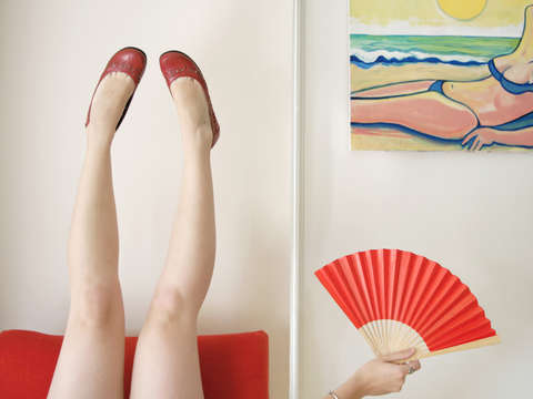Fan