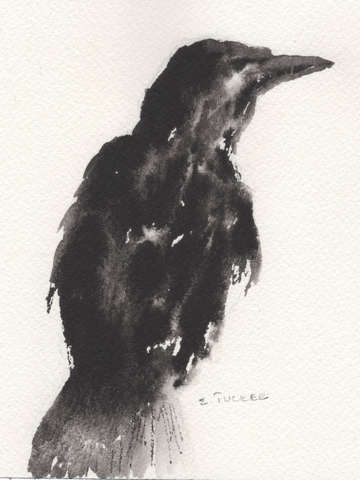 Raven
