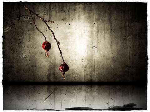 Equinox