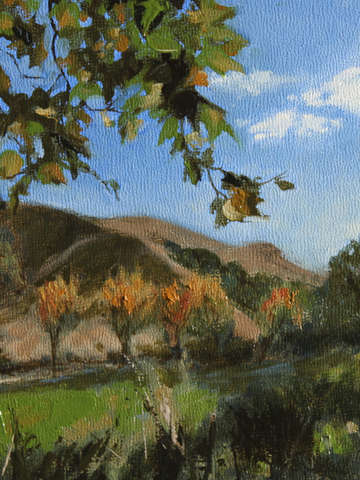 Los Olivos