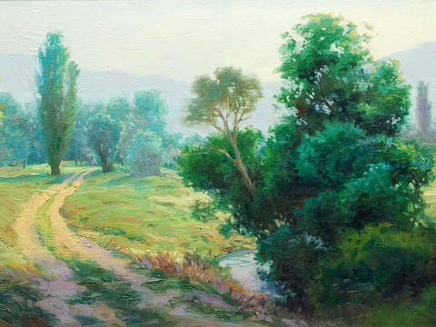 Early morning light