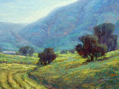 Wellesville fields