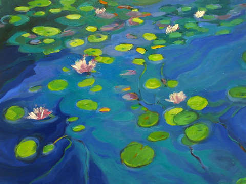 The lily pond