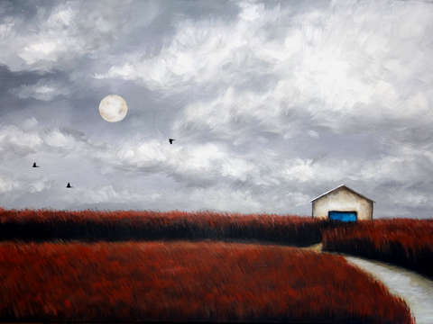 Field with the blue barn door 2013