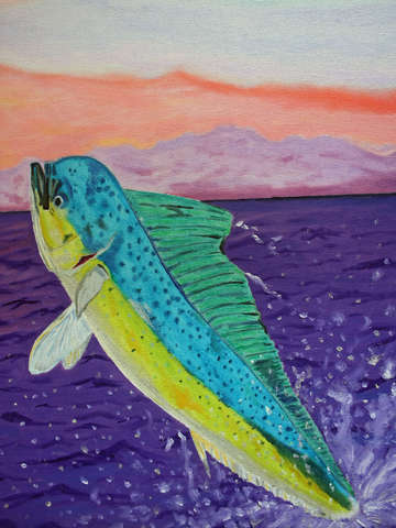 Dorado at dawn