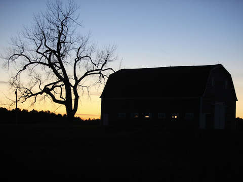 A long day on the farm