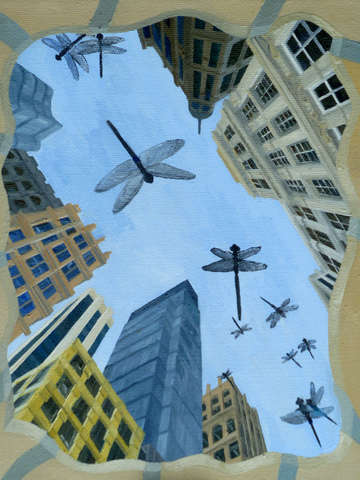 Dragon fly sky