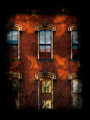 Rear windows