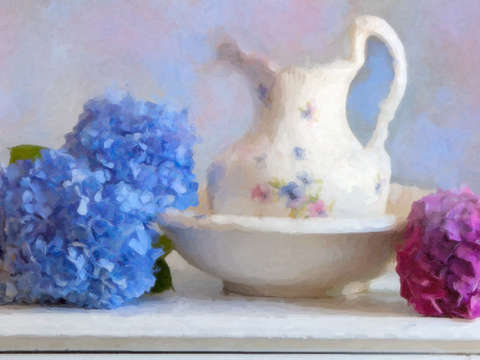 Hydrangea and wash basin