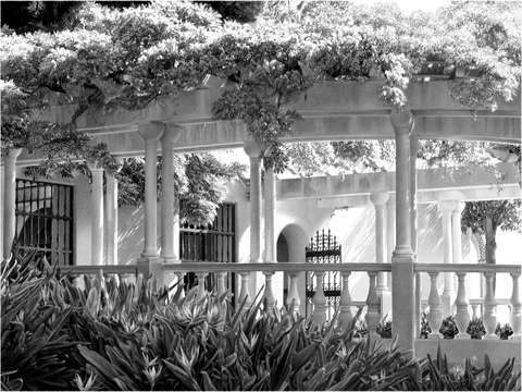Pink colonnade