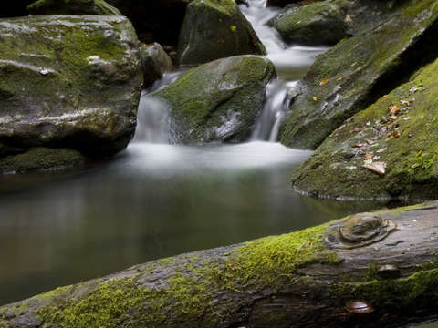 Mineral creek two