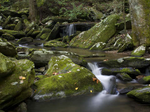 Catawba Headwaters