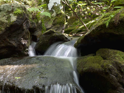 Lower corner rock creek