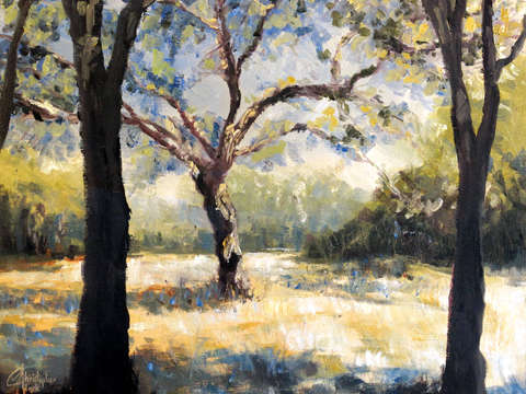 Malibu-canyon-ii