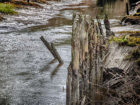 Backwater