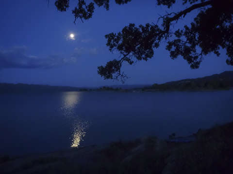 By the light of the silvery moon