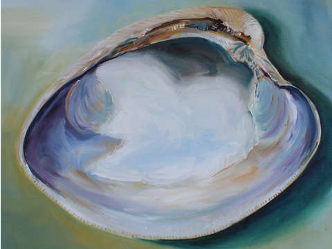 Clam shell 1
