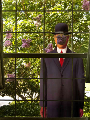 Peeping rene