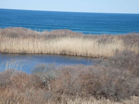 Block island rhode island 3218