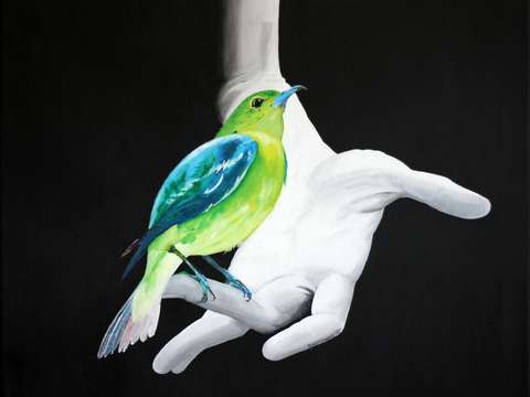 Bird hand