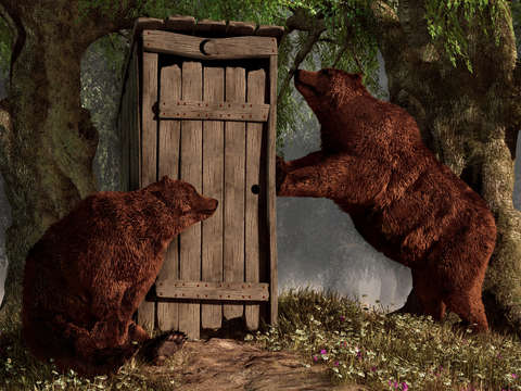 Bears Around The Outhouse