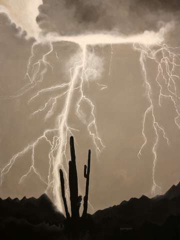 Storm sentinel 2