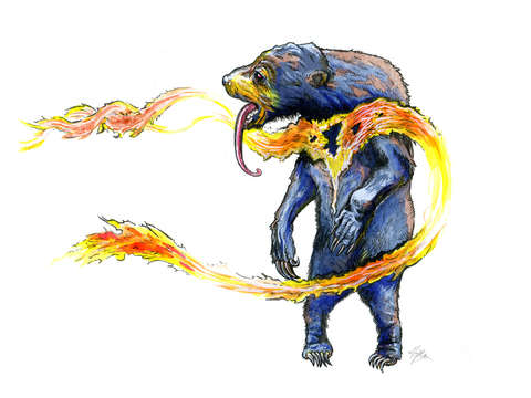 Summer Bear