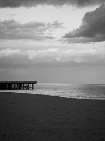 Summer Storm
