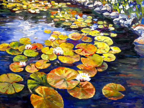 Lily pond 2