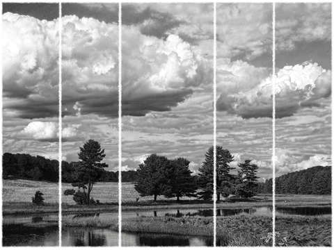 Sheepscot village trees