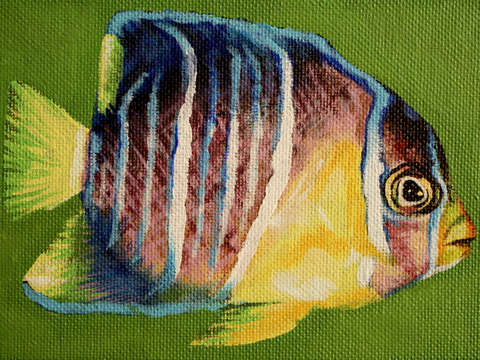 Tropical fish 2