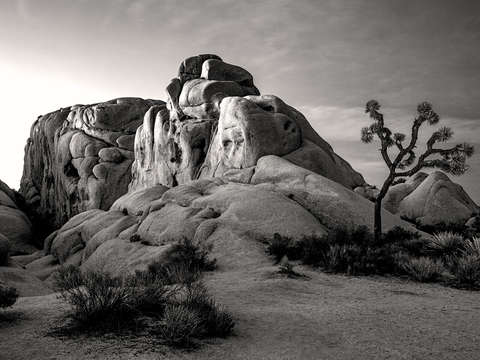 Desert sunrise