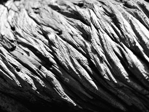 Weathered 2