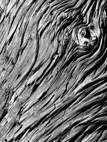 Texture 2 2