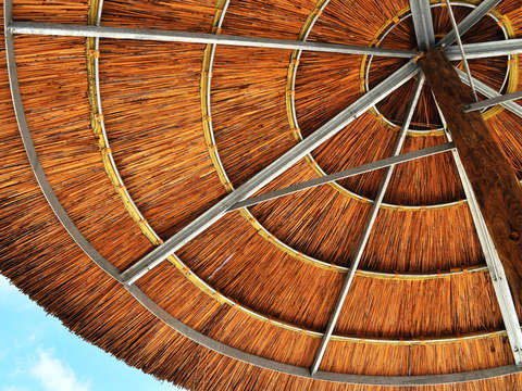 Umbrella