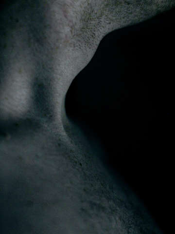 Body lines ii