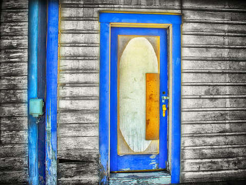 Nevada door