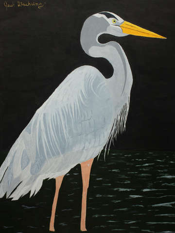 Blue Heron