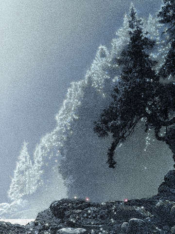 Night light iv