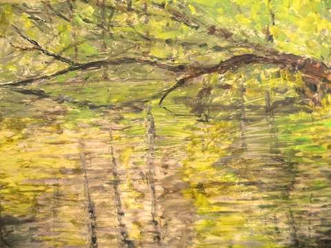 Fresh pond