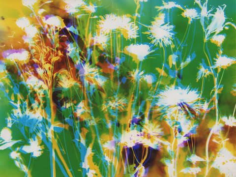 Being in dreaming
